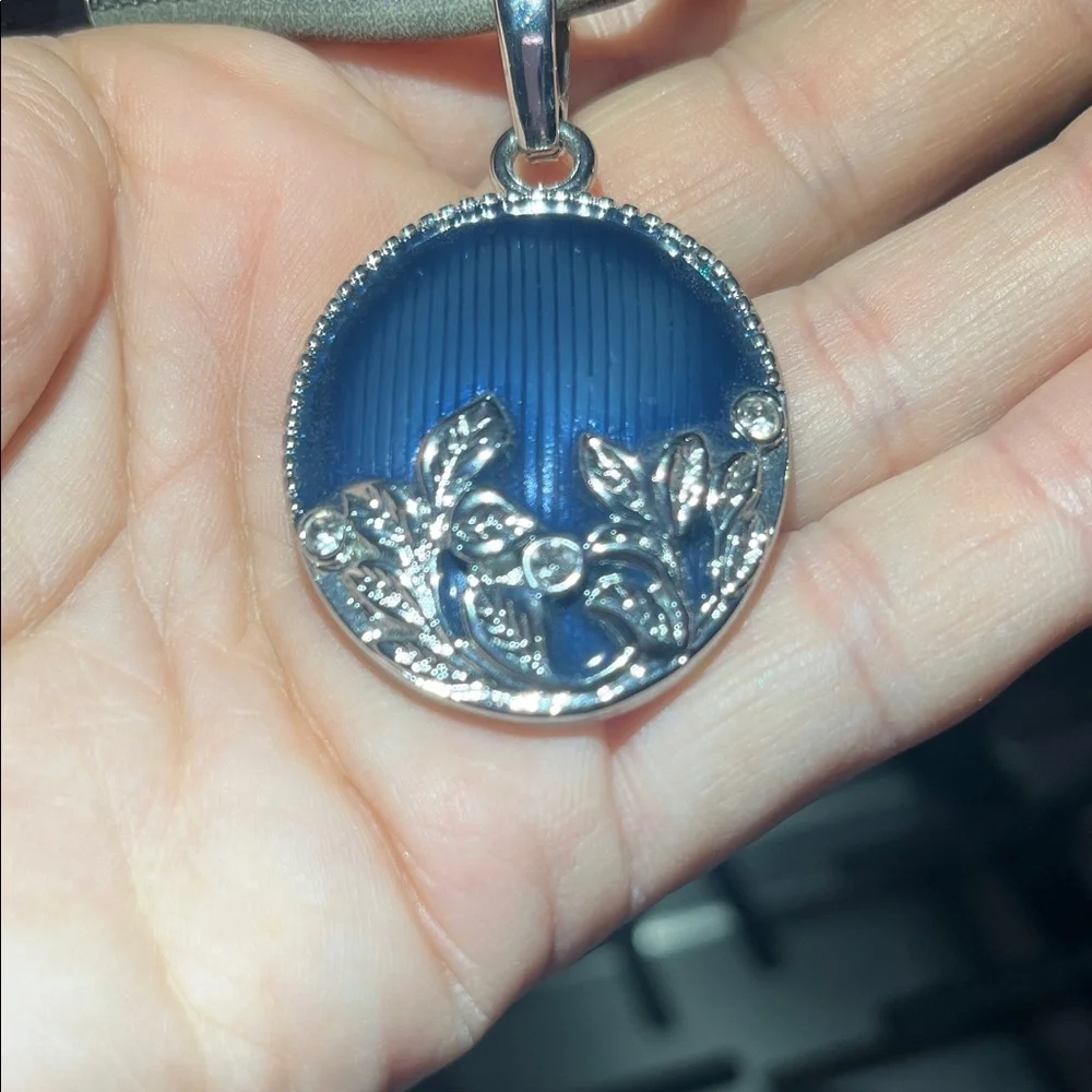 Chic Silver and Blue Necklace